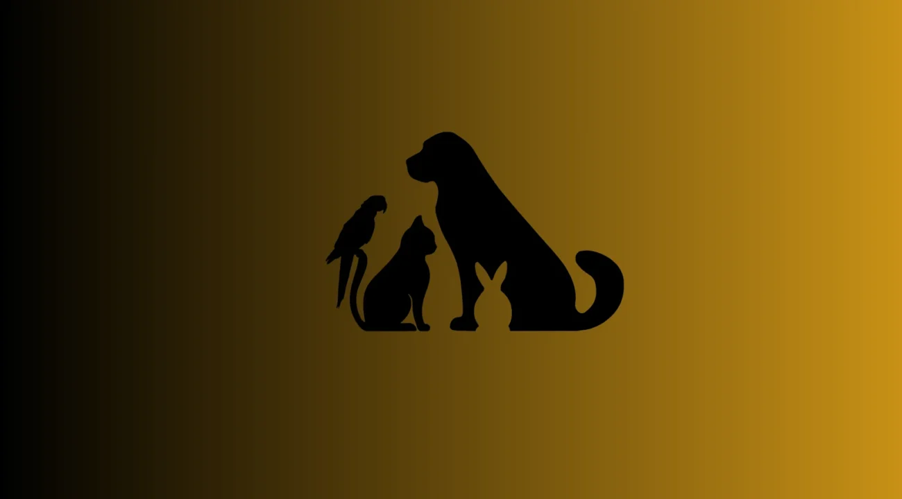 pets-birds